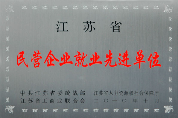 凯发k8国际集团再次被评为江苏省“民营企业就业先进单位”与“民营企业纳税大户”