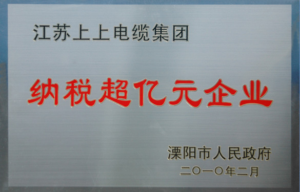 凯发k8国际荣获“2009年度十大纳税大户”与“纳税超亿元企业”声誉称呼