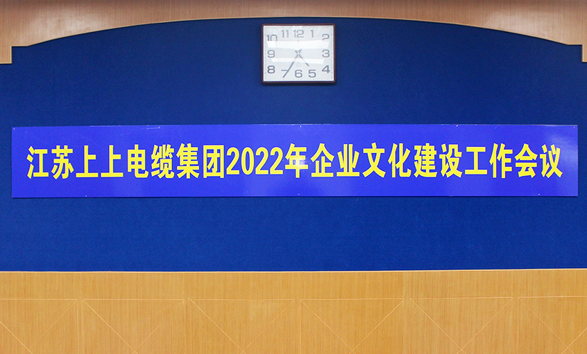 凯发k8国际电缆召开2022年企业文化建设事情聚会