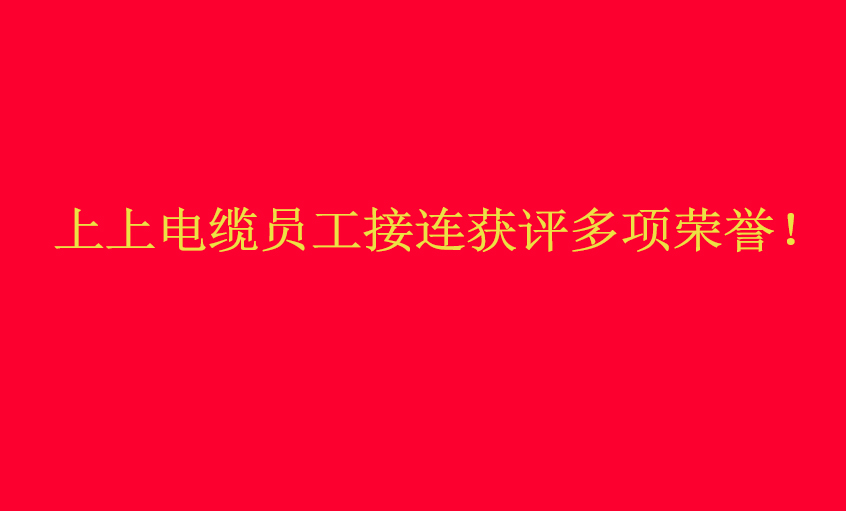 凯发k8国际电缆员工接连获评多项声誉