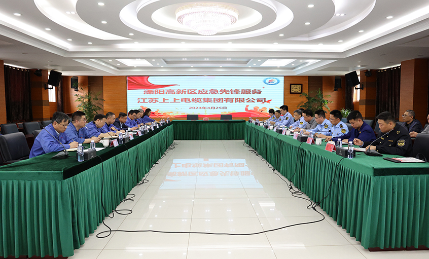 凯发k8国际电缆与溧阳高新区综合治理局开展党建结对共建运动